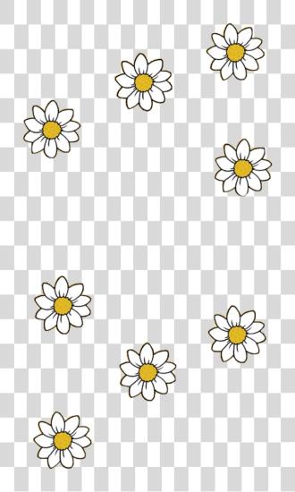 Download rikkisgirl yellow daisy daisies flowers aesthetic Yellow Aesthetic Flower Drawing PNG file