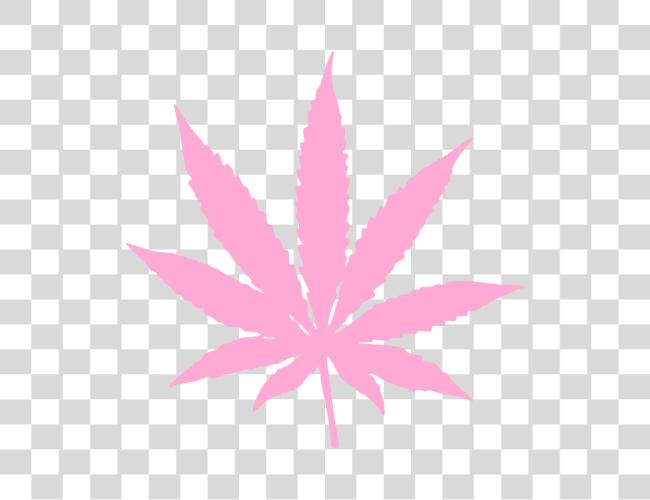 Download Marijuana Pink Weed Leaf Clip Art