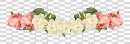 Download Flower Vintage Border PNG file