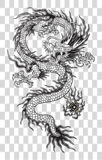 下载 Oriental Dragon 中文 Dragon 矢量 长 PNG file