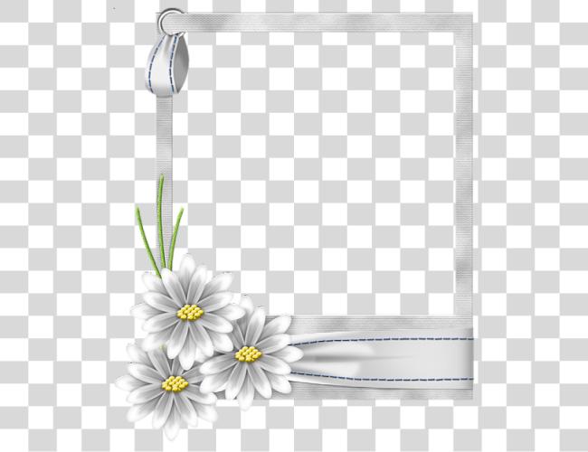 Download White Flower Frame White Flower Frame Clip Art