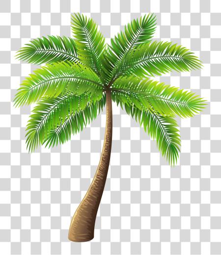 Download Palm Tree Palm Tree PNG file