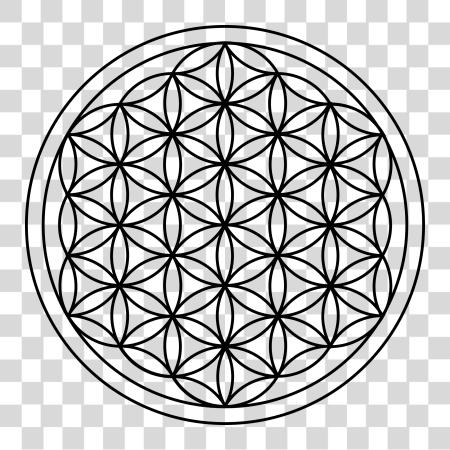 Download Flower Of Life Flower Of The Life PNG file