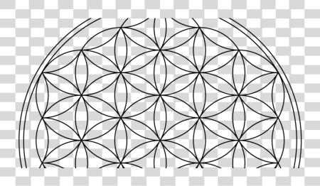 Download Rainbow Flower Of Life Flower Of Life PNG file