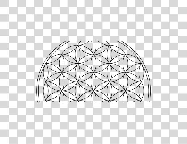 Download Rainbow Flower Of Life Flower Of Life Clip Art