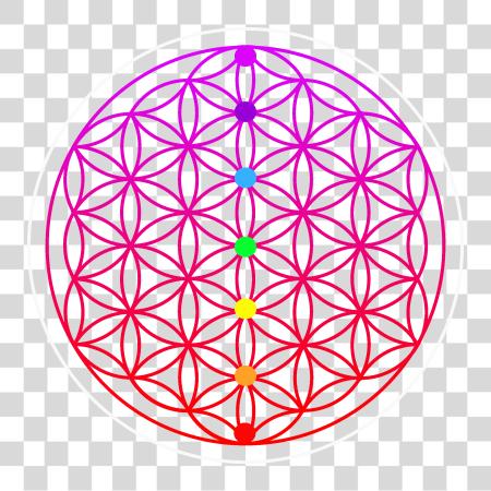 Download Cropped Flower Of Life 1601160 Copy 2 Flower Of Life PNG file