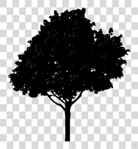 Download siluetas Onlygfx Com simple Oak Tree silueta PNG file