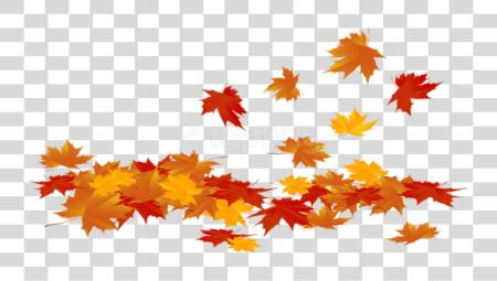 Download Fallen Leaves Pumpkins White PNG file