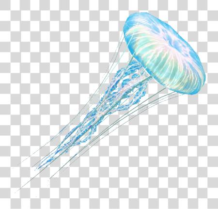 下载 Jellyfish PNG file