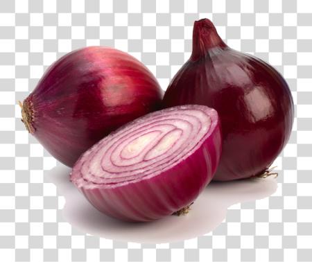 Download Red Onion Red Onion PNG file