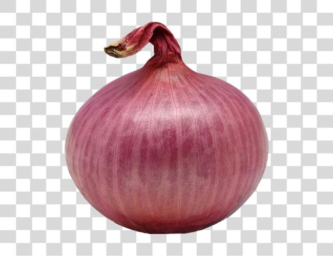 تحميل Single Onion Image Single Onion مقطوعة فن