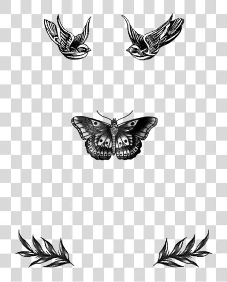 Download Q Harry Styles Tattoos Harry Styles mariposa Tattoo Harry estilo Tattoo dibujo PNG file