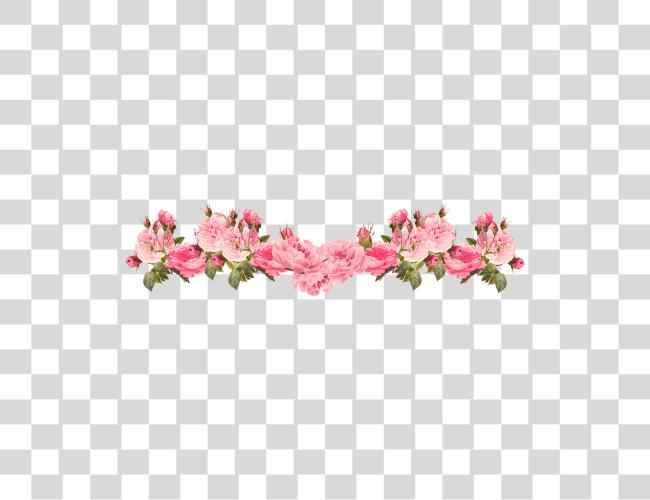 Download Icons Flower Border Clear Clip Art