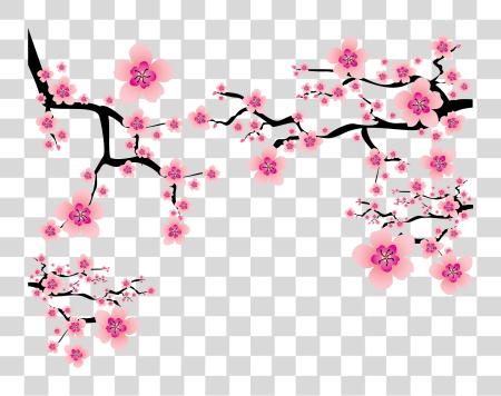 下载 Sakura Blossom Plum 花 樱桃 Blossom PNG file