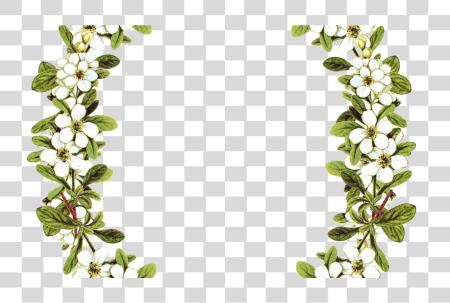 Download Digital Vintage Flower Frame Oval Flower Frames PNG file