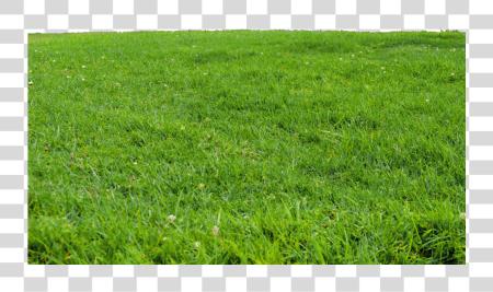 下载 ftestickers 自然 landscape grass 绿色 Park PNG file