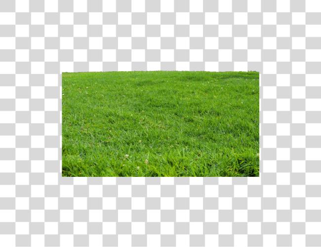 تحميل ftestickers طبيعة landscape grass أخضر Park مقطوعة فن