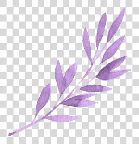 Download leaf purple plants plant tumblr editpng pngedit Purple Flowers Aesthetic PNG file