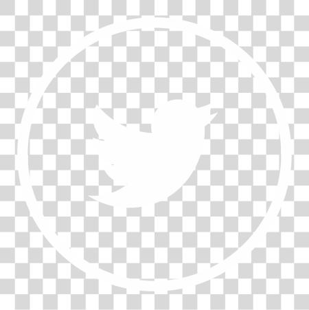 Download Nltwitter Twitter icono Gray Circle PNG file