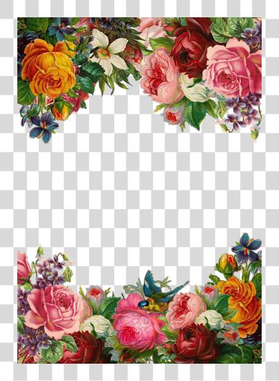 Download Flower Rose Frame Collection Vintage Composition Beautiful Flower Border PNG file