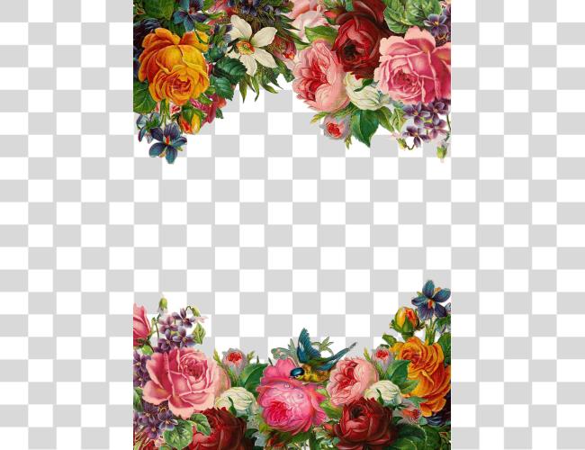 Download flor rosa marco colección vintage Composition hermoso flor Border Clip arte