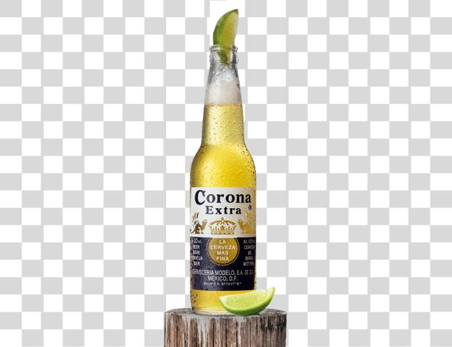 Download Coronas Corona Extra Lime Clip arte