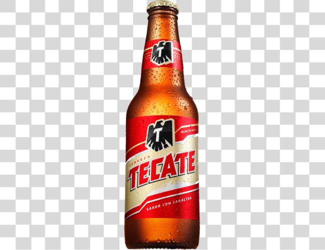 Download Cerveza Embotellada Pizzeria Rockys Tecate cerveza botella Clip arte