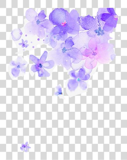 下载 Flowers 水彩 Watercolorflowers 紫色 水彩 Flowers PNG file