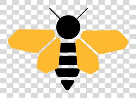 Download reina abeja abeja icono PNG file