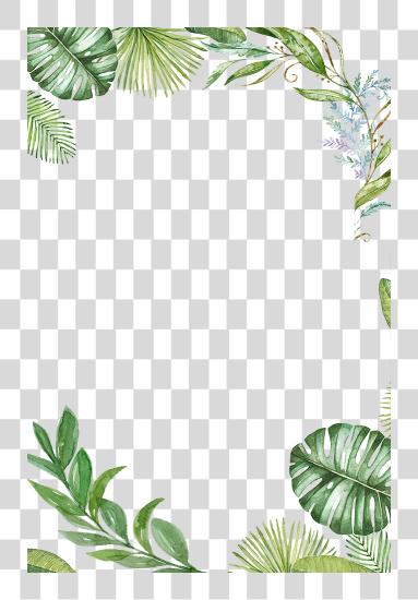 下载 Plants Tropical 丛林 Leaves 框架 Ftestickers Reportar Tropical Leaves 框架 PNG file