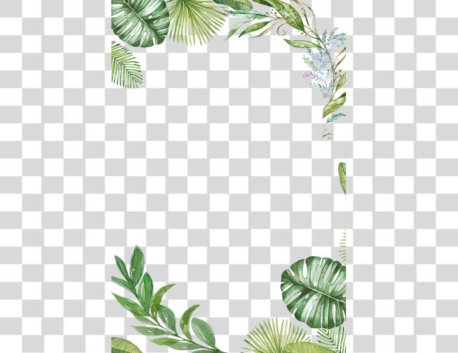 Download Plants Tropical Jungle Leaves Frame Ftestickers Reportar Tropical Leaves Frame Clip Art