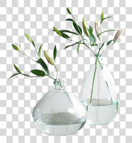 下载 Clear Recycled Glass Balloon Vases Recycled Glass Balloon Vases PNG file