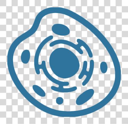 Download Mammalian Cell Experiments Human Cell Icon PNG file