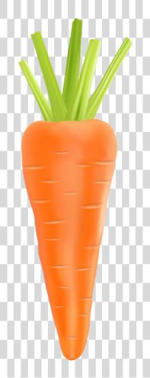 下载 Carrot Carrot PNG file