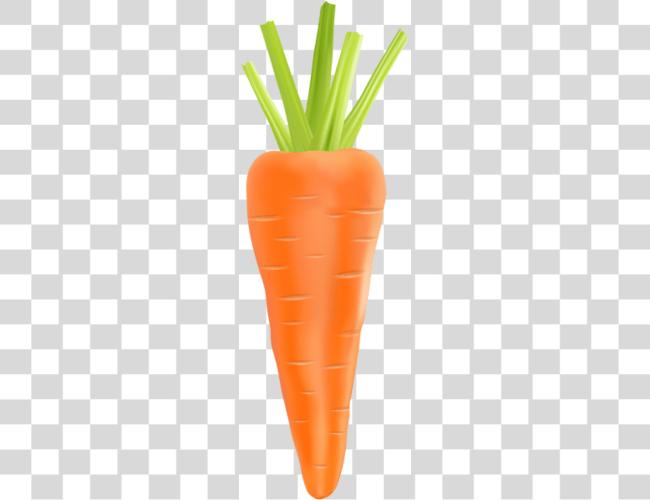 下载 Carrot Carrot Clip 艺术