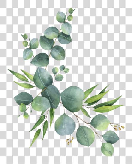 Download branch leaves florals branches zweig watercolor Eucalyptus Clipart PNG file