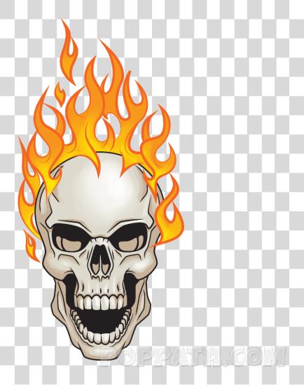 Download Skulls Fire Flaming Skull With No PNG file