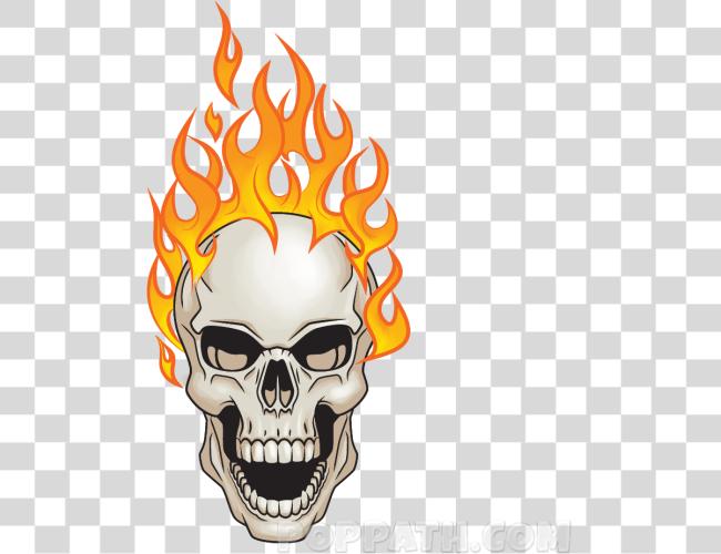 Download Skulls Fire Flaming Skull With No Clip Art