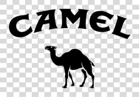 Download Camel Logo Decal Camel Cigarettes Logo 2018 PNG file