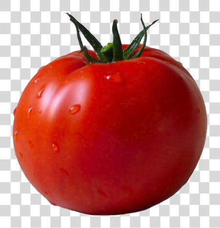 تحميل Tomato Image Tomato بي ان جي ملف