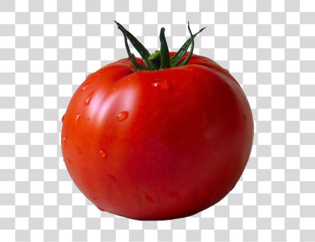 下载 Tomato Image Tomato Clip 艺术