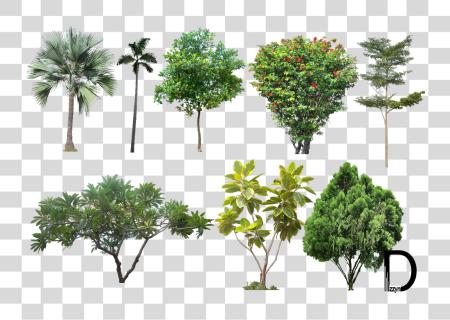 Download Landscape Photos Trees For Photoshop High Resolution PNG file