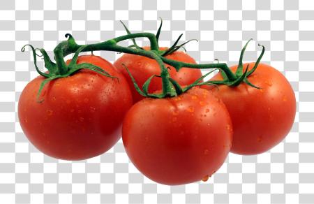 تحميل طماطم Tomato بي ان جي ملف