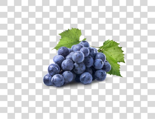 Download Grape Image Grape Clip Art Imagens De Frutas Uva Clip Art