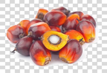 Download Subscribers Receive Two Daily Market Reports And Access Crude Palm Oil PNG file