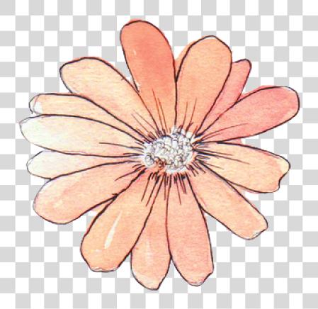 Download tumblr flower watercolor Flower Draw Tumblr PNG file