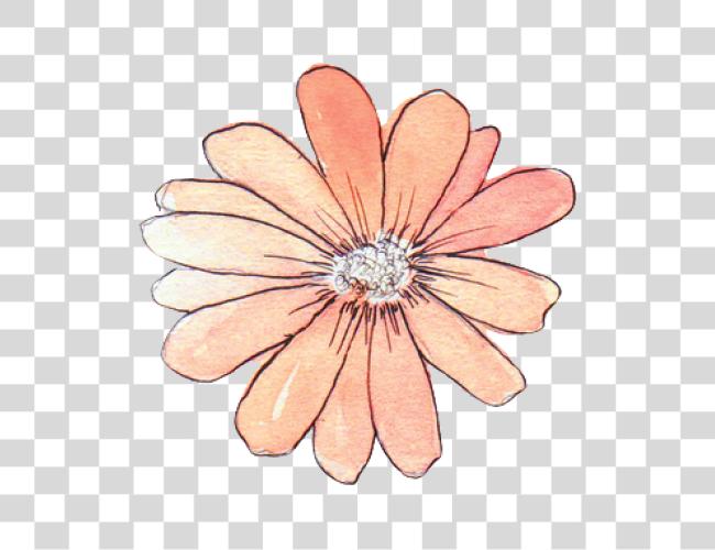 Download tumblr flower watercolor Flower Draw Tumblr Clip Art