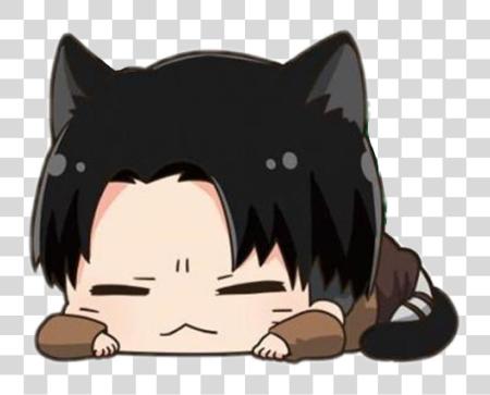 Download nekolevi aot neko cat kawaii ereri levi leviackerman PNG file