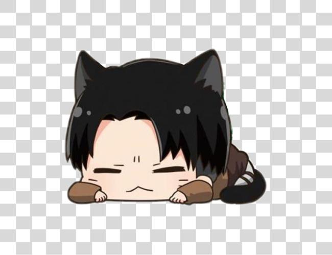 Download nekolevi aot neko cat kawaii ereri levi leviackerman Clip Art