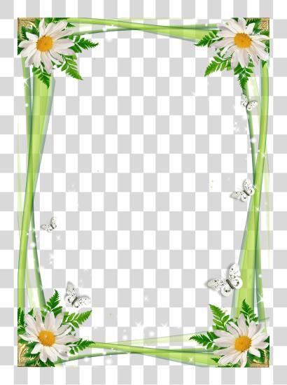 Download Molduras Com Flores Flowers Frames For Photoshop PNG file